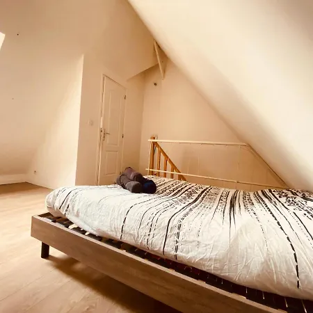 L'appartement Le Venuste Centre Apartment